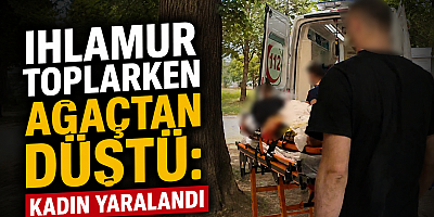 Ihlamur Toplarken Ağaçtan Düştü: Kadın Yaralandı