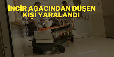 İncir ağacından düşen kişi yaralandı 