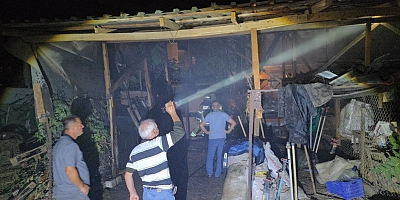 İnegöl Cerrah Mahallesi’nde Ağaç Yangını Paniğe Neden Oldu