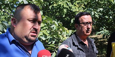 İNEGöL CEViZiNDE PAZAR SORUNU YOK