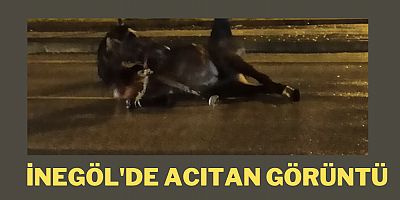 İnegöl'de acıtan görüntü 