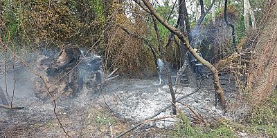 İnegöl’de Ağaçlık Alanda Yangın