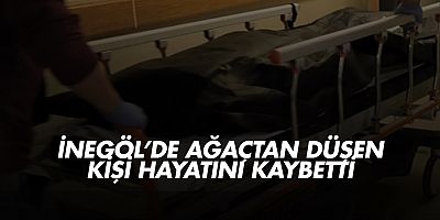 İnegöl’de Ağaçtan Düşen Kişi Hayatını Kaybetti