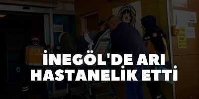 İnegöl'de arı hastanelik etti