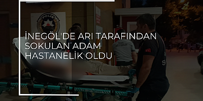 İNEGÖL'DE ARI TARAFINDAN SOKULAN ADAM HASTANELİK OLDU