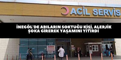 İnegöl'de arıların soktuğu kişi, alerjik şoka girerek yaşamını yitirdi 