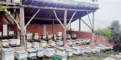 İnegöl’de arılı kovan tespit çalışmaları sürüyor