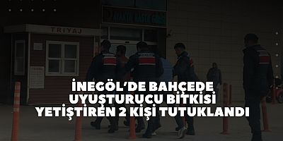 İnegöl’de bahçede uyuşturucu bitkisi yetiştiren 2 kişi tutuklandı