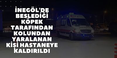 İnegöl'de beslediği köpek tarafından kolundan yaralanan kişi hastaneye kaldırıldı