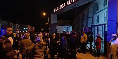 İnegöl’de bir apartmanda telef edilmiş 6 kedi yavrusu bulundu