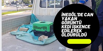 İnegöl'de can yakan görüntü Kedi işkence edilerek öldürüldü
