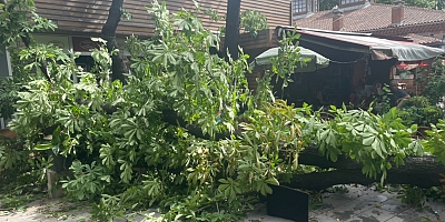 İnegöl'de çarşı bir anda karıştı