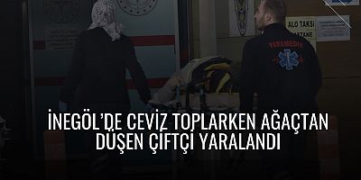 İnegöl’de Ceviz Toplarken Ağaçtan Düşen Çiftçi Yaralandı