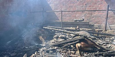 İNEGÖL'DE ÇİFTLİKTE ÇIKAN YANGINDA 2 BÜYÜK BAŞ HAYVAN TELEF OLDU