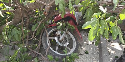 İnegöl'de çocuklarını okul önünde bekleyen velilerin üzerine ağaç devrildi