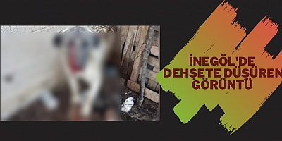 İnegöl'de dehşete düşüren görüntü