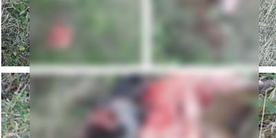 İNEGÖL'DE DOMUZUN DERİSİNİ YÜZÜP ETİNİ ALDILAR