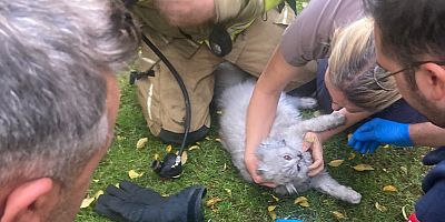 “İnegöl’de Ev Yangını: Dumandan Etkilenen Kedi Ambulansla Kurtarıldı”