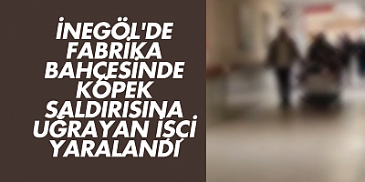 İnegöl'de Fabrika Bahçesinde Köpek Saldırısına Uğrayan İşçi Yaralandı