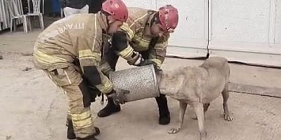 İnegöl’de Filtreye Sıkışan Köpeği İtfaiye Kurtardı