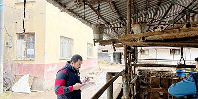 İnegöl’de hayvan sağlığı için saha çalışmaları devam ediyor