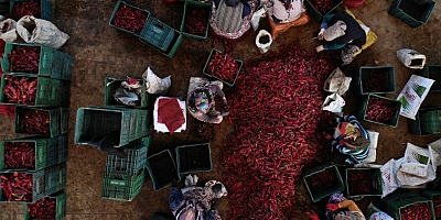 İnegöl'de Hollanda'ya 