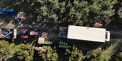 İnegöl,de ihracatı da yapılan yeşil elmanın hasadı başladı