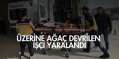 İnegöl’de İmalathanede Üzerine Ağaç Devrilen İşçi Yaralandı
