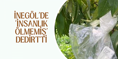 İnegöl’de ‘insanlık ölmemiş’ dedirtti