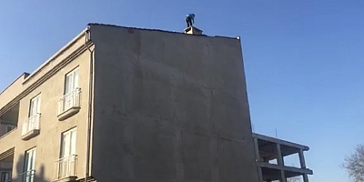 İNEGÖL DE İNTAHAR