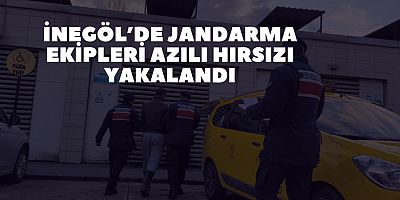 İnegöl’de Jandarma Ekipleri Azılı Hırsızı Yakalandı
