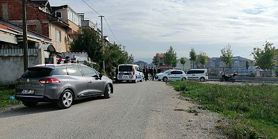 İnegöl'de kedi kavgası