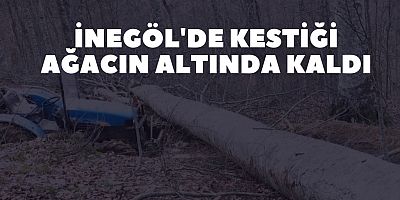 İnegöl'de Kestiği ağacın altında kaldı