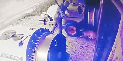 İnegöl’de Köpeğe Şiddet Olayı: Şüpheli Adli Kontrol Şartıyla Serbest Bırakıldı