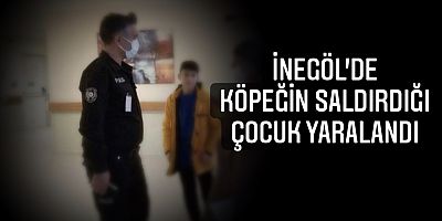 İnegöl'de köpeğin saldırdığı çocuk yaralandı