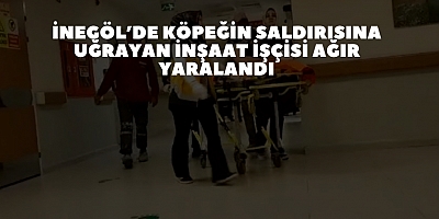 İnegöl’de köpeğin saldırısına uğrayan inşaat işçisi ağır yaralandı