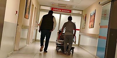 İnegöl’de Köpek Saldırısından Kaçan Genç Kadın Yaralandı