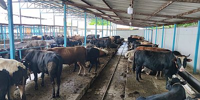 İnegöl'de 'Kurban hissesi' talepleri artıyor