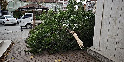 İnegöl’de Lodos Etkili Oldu