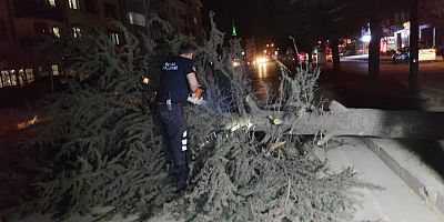İnegöl'de lodos nedeni ile devrilen ağaçlar ulaşımı aksattı