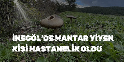 İnegöl’de mantar yiyen kişi hastanelik oldu