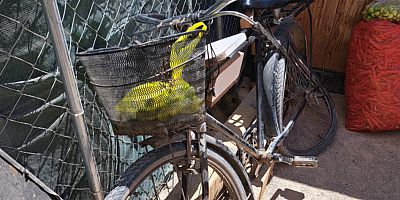 İnegöl’de Otomobilin Çarptığı Bisikletli Yaralandı: Vatandaşlardan Örnek Davranış