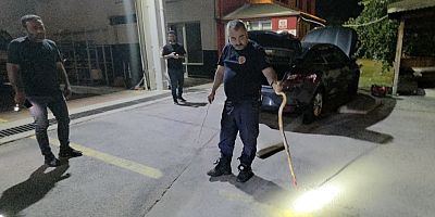 İnegöl’de Otomobilin Tekerine Dolanan Yılan İtfaiyeyi Harekete Geçirdi