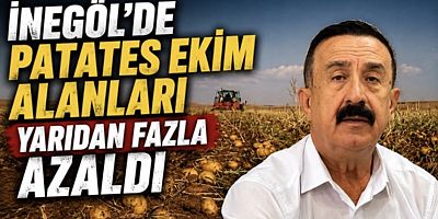 İnegöl’de Patates Ekim Alanları Yarıdan Fazla Azaldı