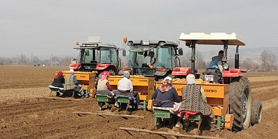 İnegöl'de patates ekimi başladı