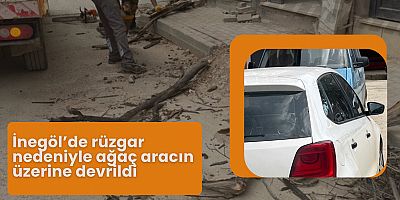 İnegöl’de rüzgar nedeniyle ağaç aracın üzerine devrildi
