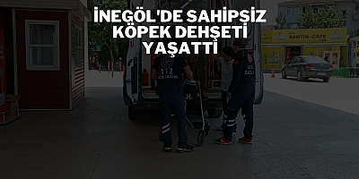 İnegöl'de sahipsiz köpek dehşeti yaşattı
