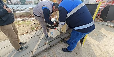 İnegöl'de Sevimli Kedi 