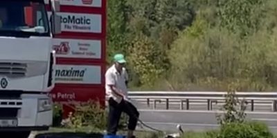 İnegöl’de sıcaklardan bunalan leylek akaryakıt istasyonunda serinledi