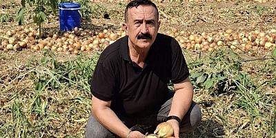 İnegöl’de Soğan Üreticisinin Yüzü Güldü: Tarlada 50 TL’yi Gördü